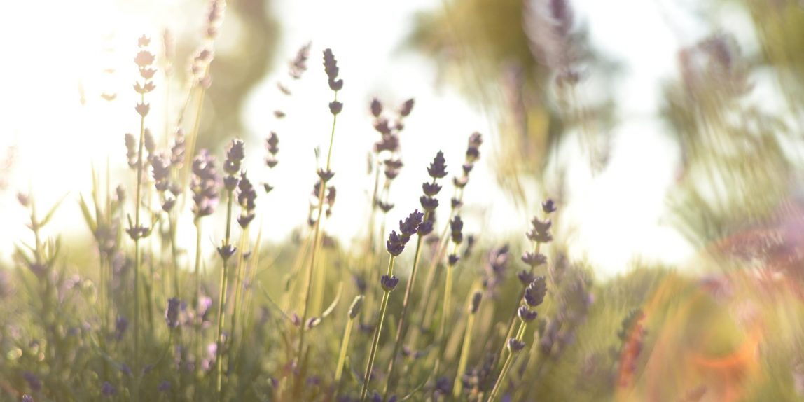 Natur