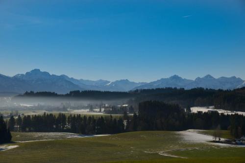 Frühjahr