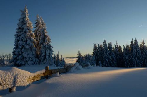 Winterwunderland