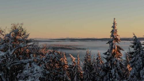 Schwarzwald