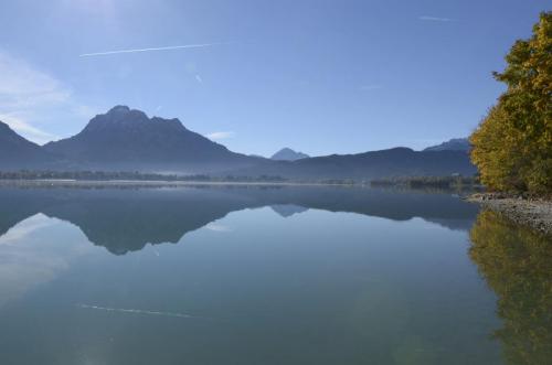 Forggensee