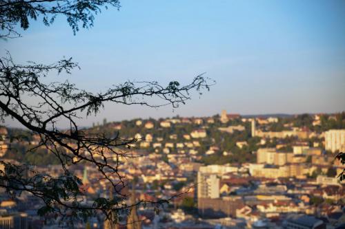 Ausblick Von Der Karlshöhe